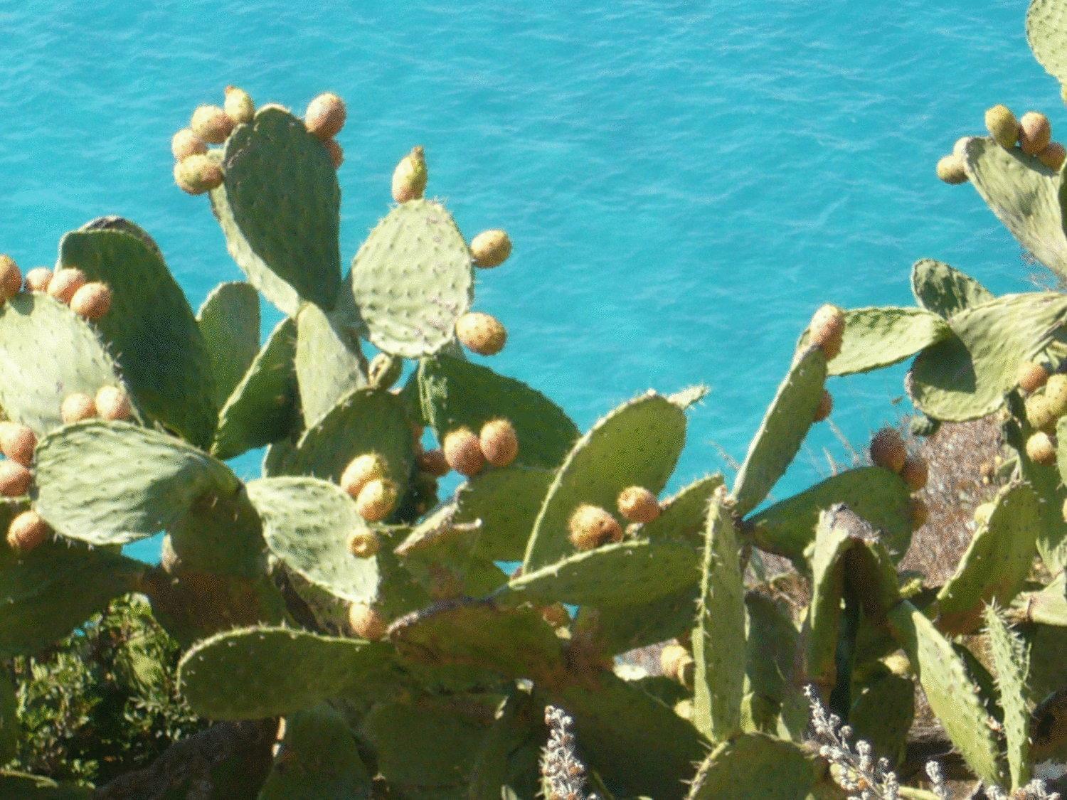 Hotel Virgilio Tropea Eksteriør billede